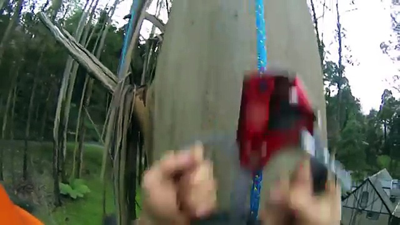 Glen Ellyn Tree Removal 630 326 7444