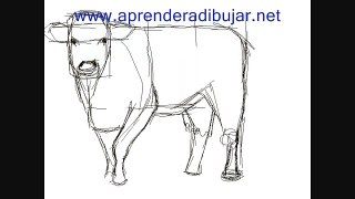How to draw a cow Things to Draw