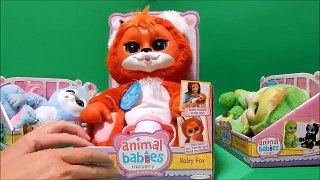 Adorable Animal Babies Baby Turtle Fox Bunny Plush Toys Deboxing Review