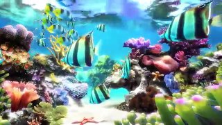 Sim Aquarium Screensaver & Live Wallpaper
