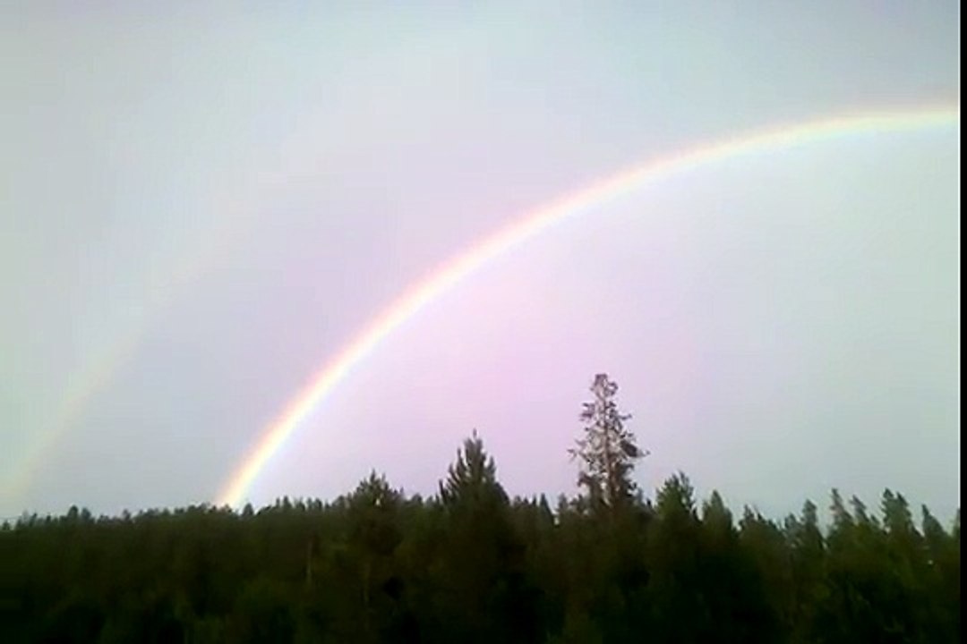 DOUBLE RAINBOW GUY ORIGINAL NO