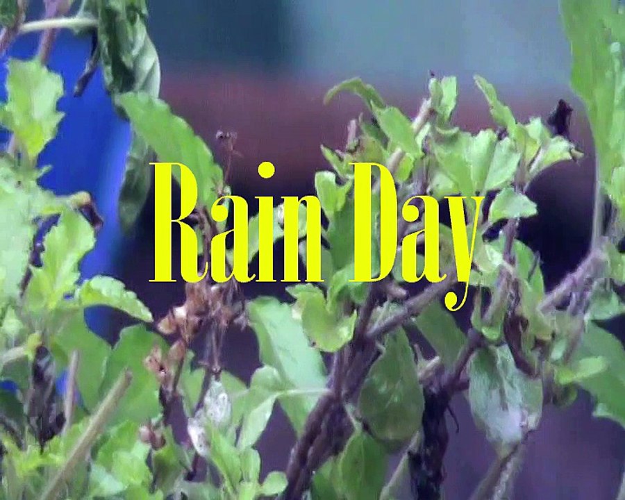 rain day