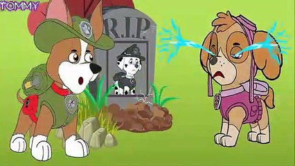 Tlapková Patrola Paw Patrol #205 Kids Cartoon Movie Canzoni Per Bambini , Tv hd 2019 cinema comedy action