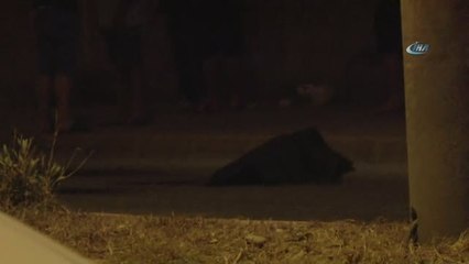 Motosikletinden Düşüp Metrelerce Sürüklenen Genç Yaşamını Yitirdi