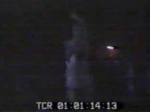 Nine Inch Nails LIVE Lollapalooza 1991 - Now I'M Nothing