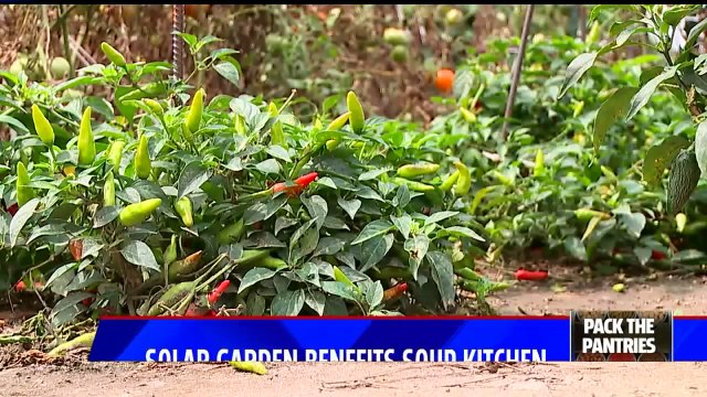 Indiana Church`s Solar Garden Helps Feed Local Homeless