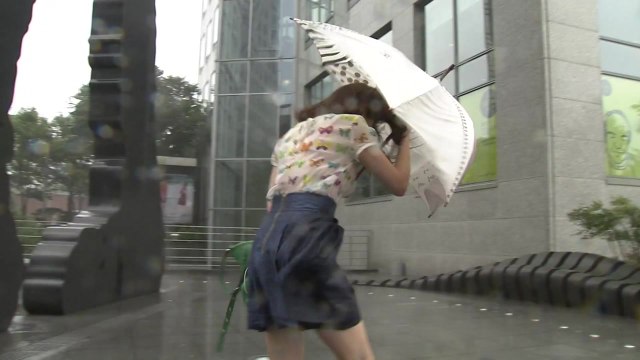 [날씨] 태풍 '솔릭' 수도권 관통한다...모레 충남 서해안 상륙 / YTN