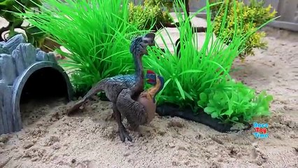 Dino Eggs Hatchlings in the Sand Fun Dinosaurs Toys For Kids Video