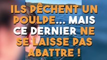Ils pêchent un poulpe... mais ce dernier ne se laisse pas faire !