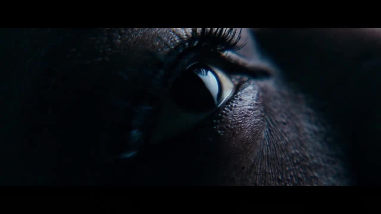 Widows | Official Trailer