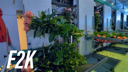 How AI is changing China's landscape