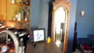 Greatest freakout ever 17 (ORIGINAL VIDEO)