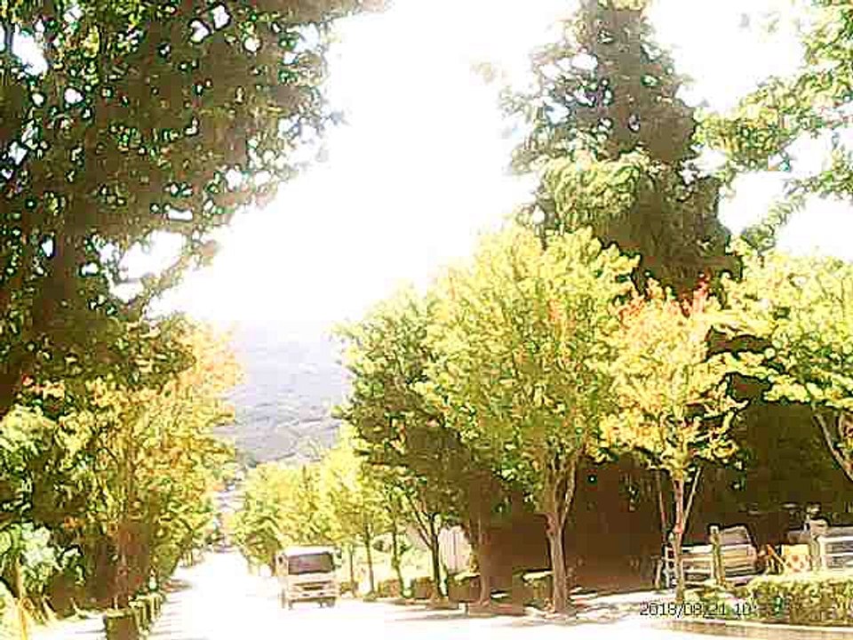 田舎道ドライブ