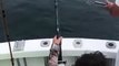 Un enfant se fait voler son poisson au bout de sa canne à pêche par un requin blanc