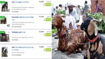 बकरीद पर घर बैठे Online खरीदें Bakra, Cash On Delivery की सुविधा उपलब्ध | Boldsky