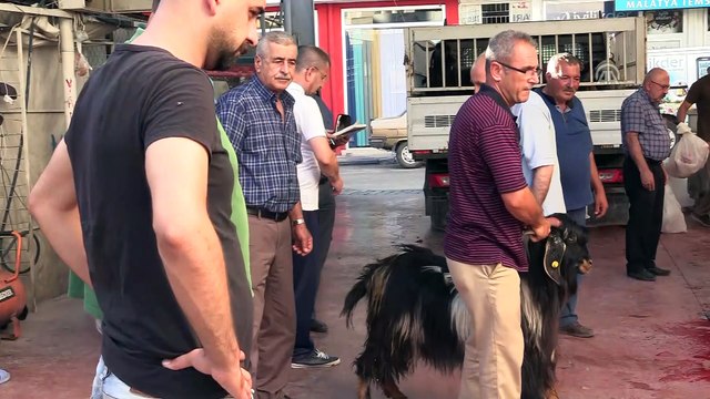 Kurban Bayramı - Kurban kesimi - MALATYA