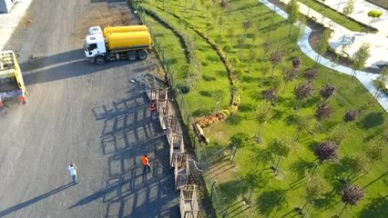 Başakşehir'de Kaçan Dana Vatandaşa Zor Anlar Yaşattı