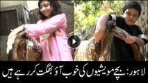 Kids pampering their sacrificial animals during Eid-ul-Azha