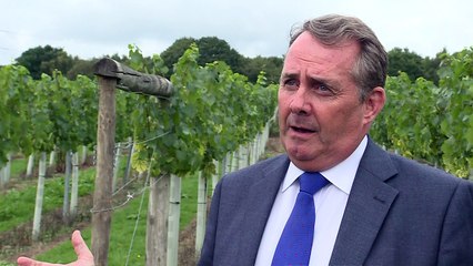 Dr Fox: Export strategy needed regardless of Brexit