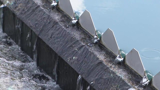 과불화화합물, 정수장은 안전...일부 하수처리장 기준 초과 / YTN