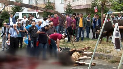 Kurban keserken zor anlar yaşadılar