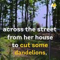 Police in Georgia used a taser on a Syrian grandma who was holding a kitchen knife to cut some dandelions.