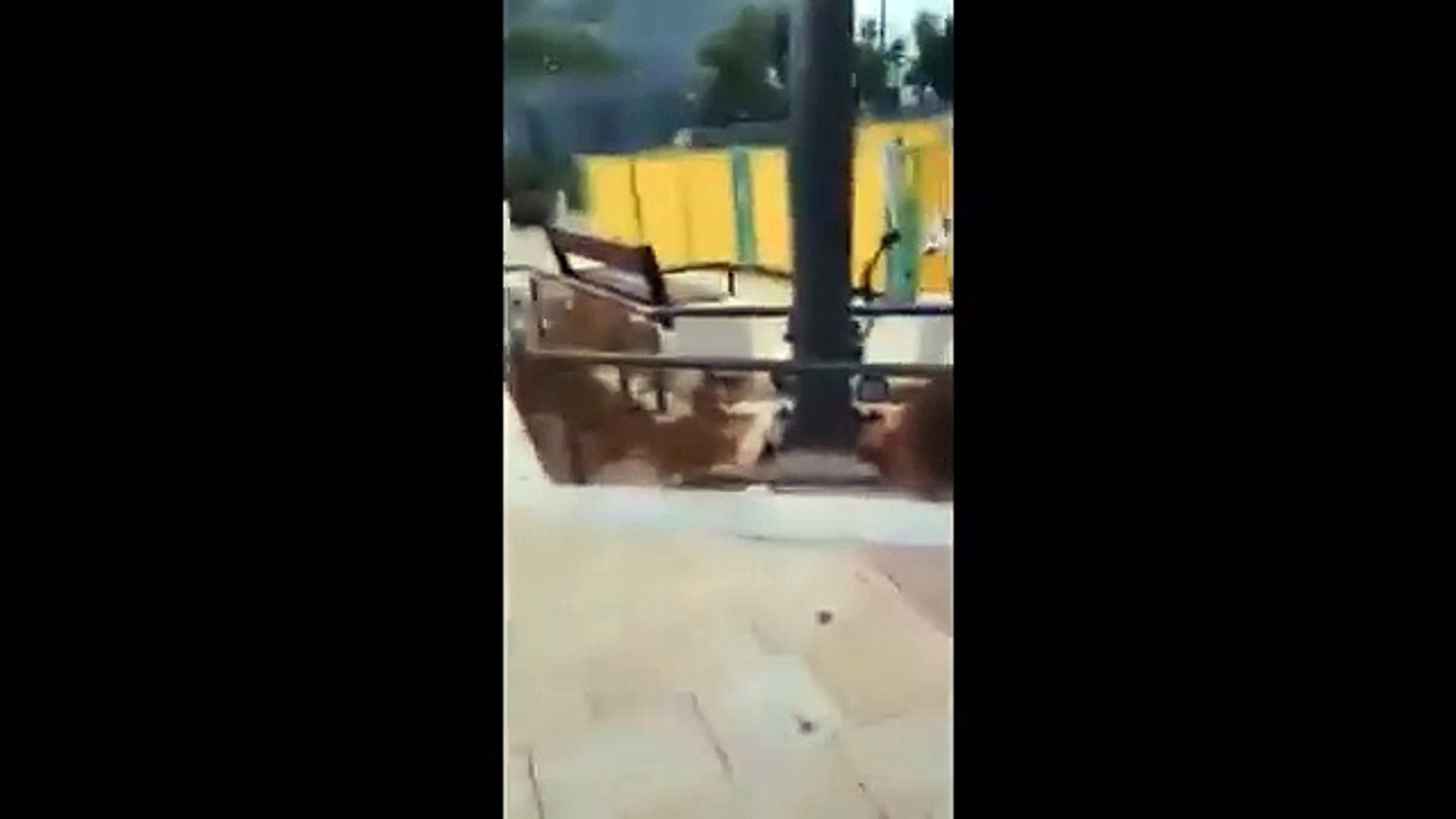 Armada Turca abate ovni