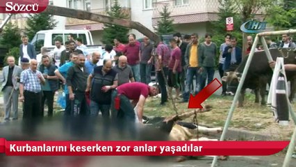Kurbanlarını keserken zor anlar yaşadılar