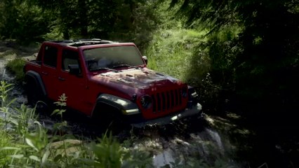 Essai Jeep Wrangler : de la confiture aux cochons ?