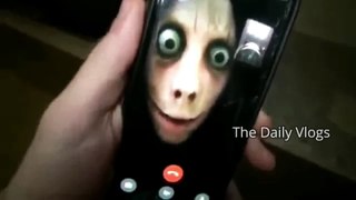 MOMO Real Video Call on FaceTime & Forces to Stab by Knife (Real Footage) | The Daily Vlogs