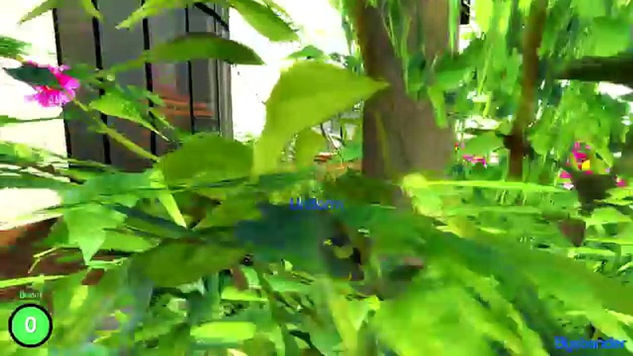 JE SAUTE OU JE MEURS