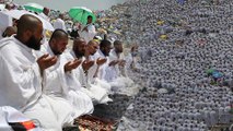 Hajj: Pilgrims pray in Arafat