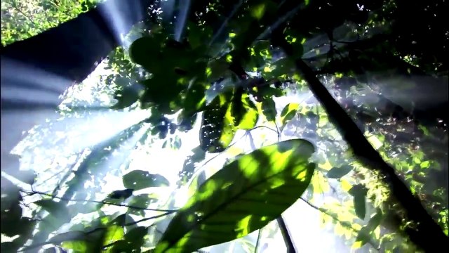 Anilah-Medicine Chant(Canto Spirituale Della Guarigione)