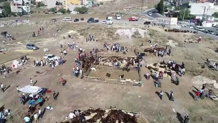 Kurban Kesim Alanlarında Yoğunluk