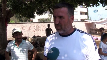 Kurban Satıcısı Her Yerde Alacak Verecek Defterini Arıyor