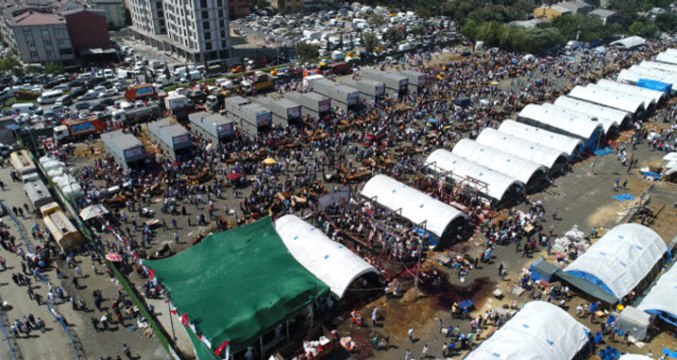 60 Bin Metrekarelik Kurban Satış ve Kesim Alanı Doldu Taştı