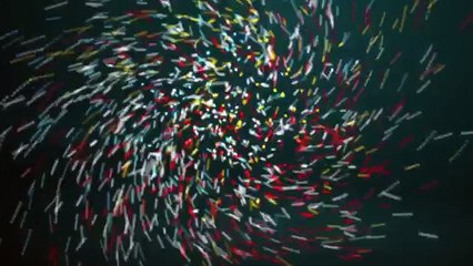 Paper Boy Movie Heroine Riya Suman Cute Speech About Love  Paper Boy Trailer Launch  NSE