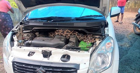 കാറിന്റെ ബോണറ്റിനുള്ളില്‍ പെരുമ്പാമ്പ്, സംഭവം ഇങ്ങനെ | Oneindia Malayala