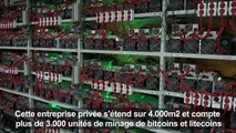 Bitcoins, litecoins, une ferme de cryptomonnaies ouvre en Russie