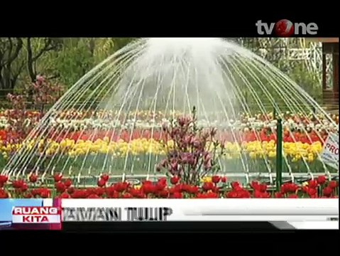 India Miliki Taman Bunga Tulip