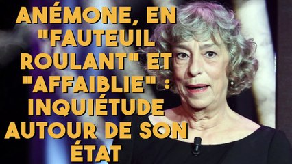 Anémone, en "fauteuil roulant" et "affaiblie" : Inquiétude autour de son état