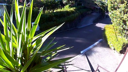 EDR August #21 2018 Noise Campaign and helicopter sound