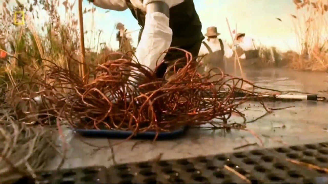 Katastrofa w przestworzach - Raport specjalny -Najtrudniejsze śledztwa S18E17, Lektor PL