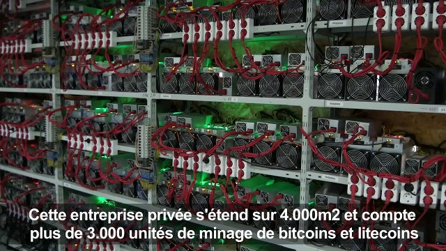 Bitcoins, litecoins, une ferme de cryptomonnaies ouvre en Russie