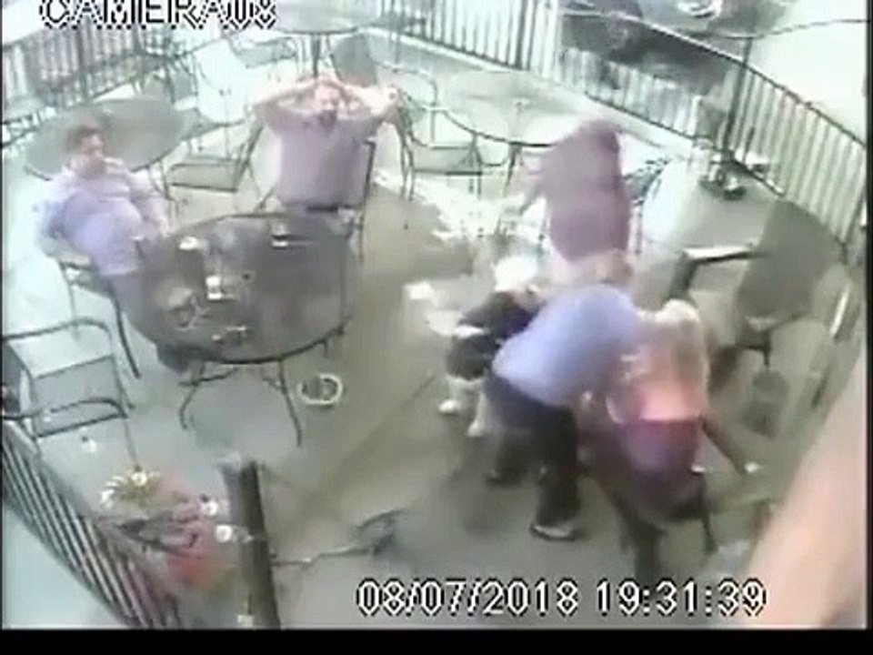 Voilà pourquoi il ne faut jamais faire un bisou à un chien que l’on ne connait pas