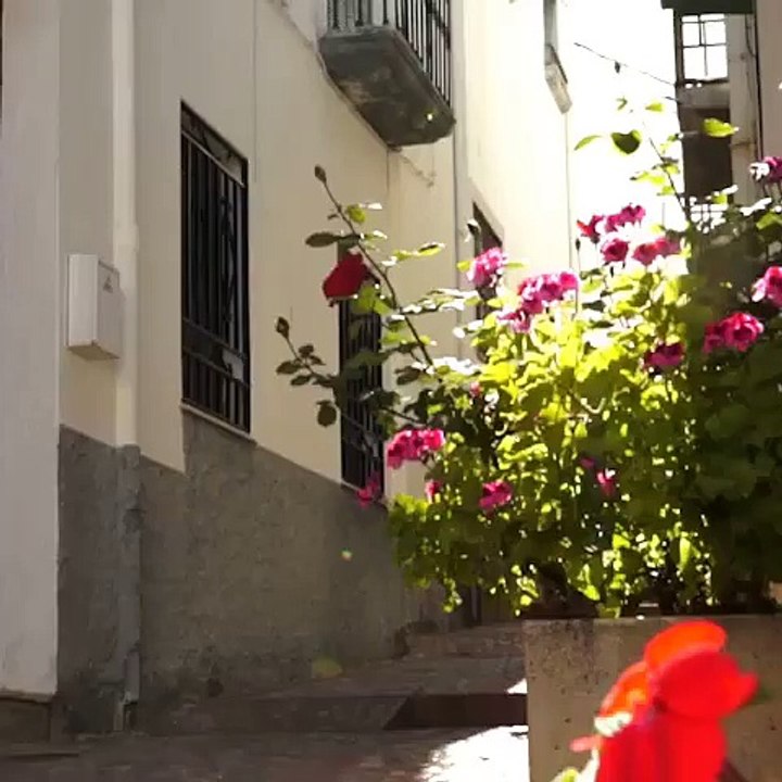 Vídeo Promocional del Ayuntamiento de Alcolea...