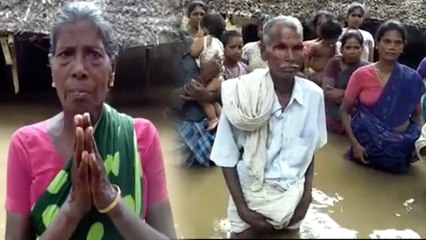 வெள்ளம் வந்துருச்சு..உதவி செய்யுங்க..வீடியோ