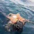 Ce plongeur a un nouveau meilleur ami : une pieuvre un peu collante