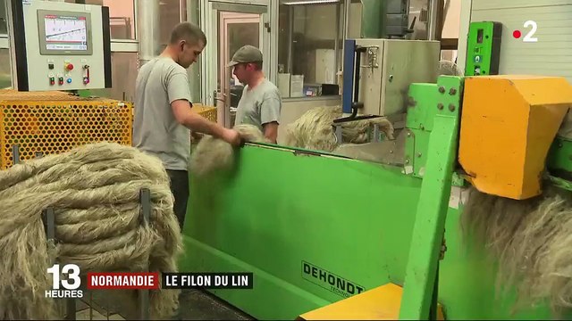 Normandie : à la découverte du filon du lin