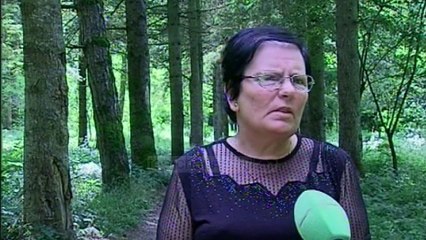 Në pyllin e fazanëve/ Pas shpendëve, rikthehen edhe pushuesit - Top Channel Albania - News - Lajme